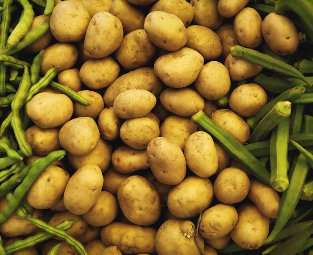 The Power of Potato Protein