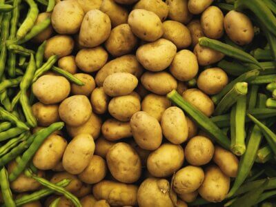 The Power of Potato Protein